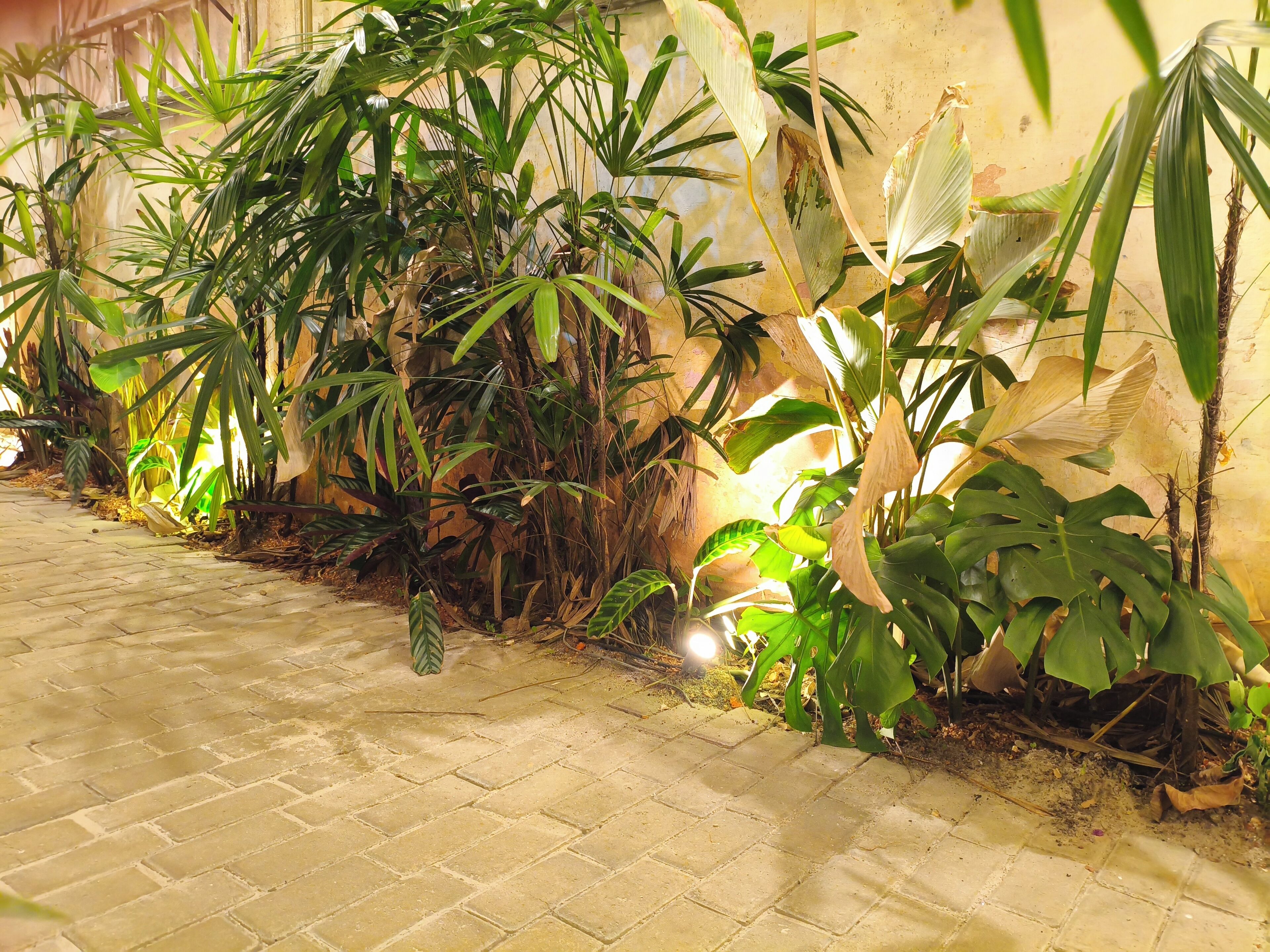 Vista desde la propiedad