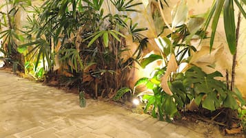 Vista da propriedade