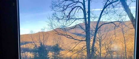 Casa | 4 habitaciones