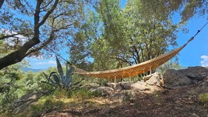 A hammock suspended between trees in a natural setting with rocks and vegetation.