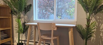 Travel Professional Studio