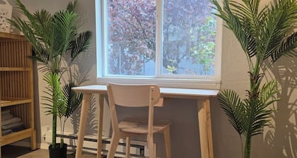 Travel Professional Studio I