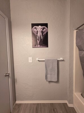 Hair dryer, towels, toilet paper