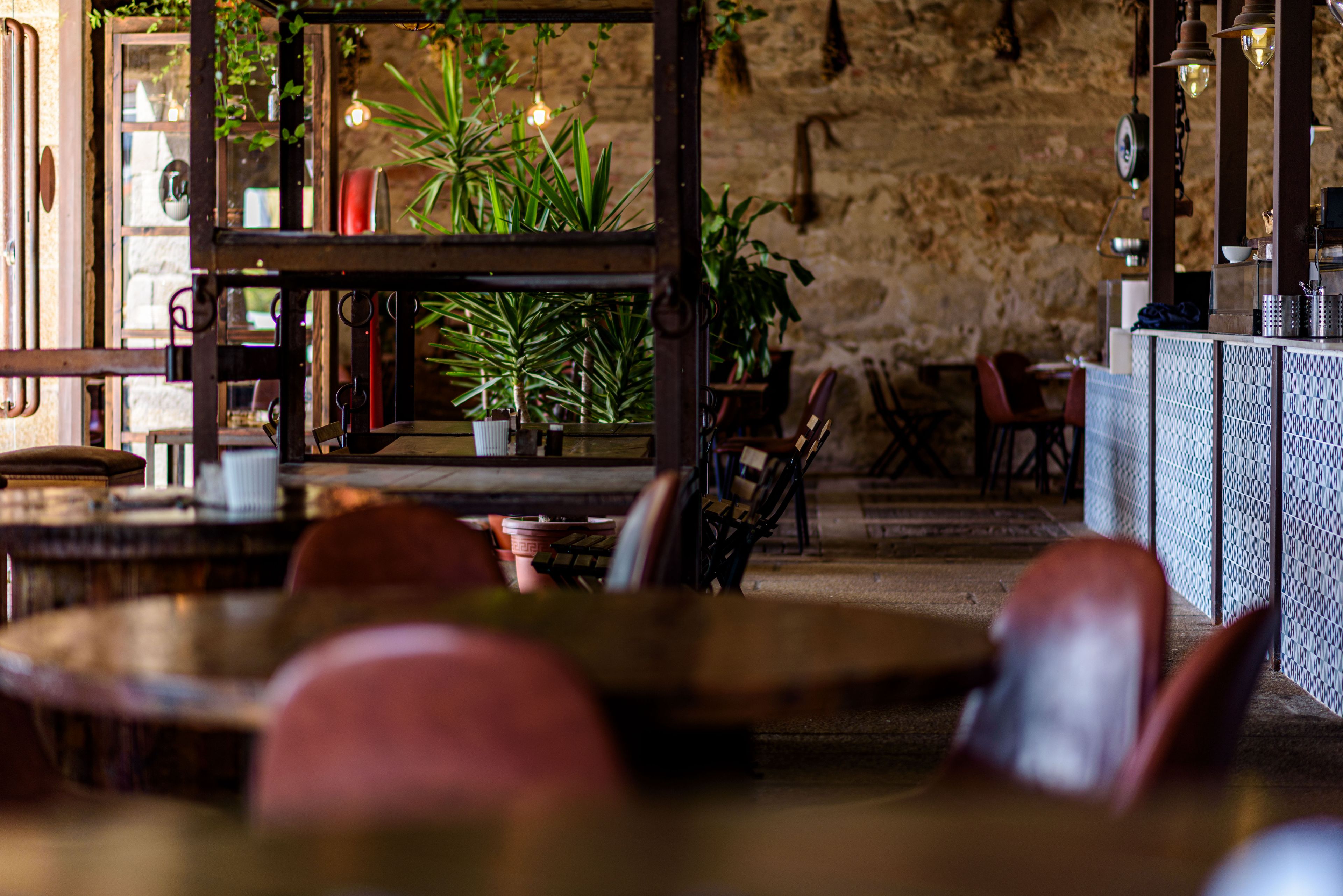 Un restaurante con paredes de piedra rústica, muebles de madera y plantas en macetas.