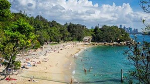A beach with clear turquoise water, people sunbathing, and a city skyline in the background. - Bright 2-bed Flat With Balcony in Vaucluse (Sydney)