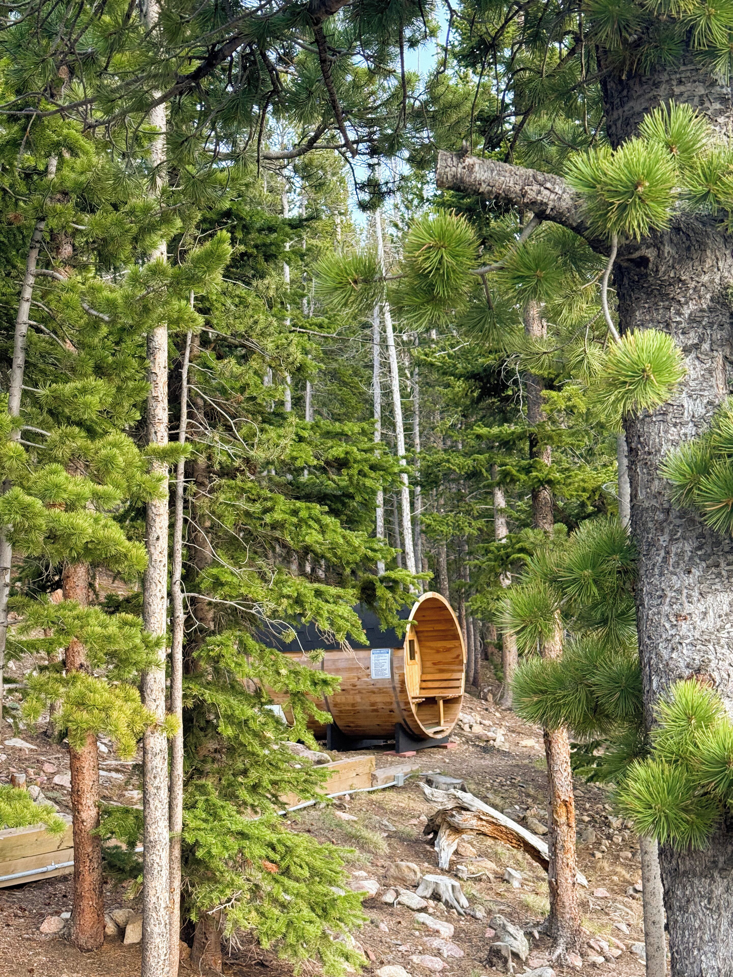 Una cabaña de madera con techo inclinado, rodeada de densos pinos y terreno rocoso.