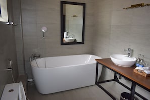 Regadera, secadora de cabello, bidet, toallas 