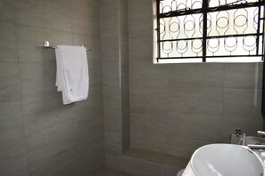 Shower, hair dryer, bidet, towels