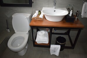 تجهيزات دش، مجففات شعر، مراحيض شطف، مناشف