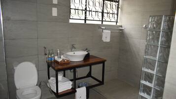 Regadera, secadora de cabello, bidet, toallas