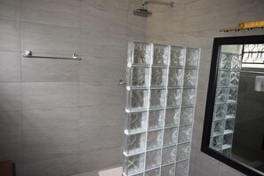 Shower, hair dryer, bidet, towels