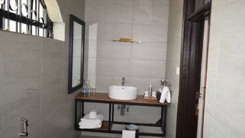 Shower, hair dryer, bidet, towels