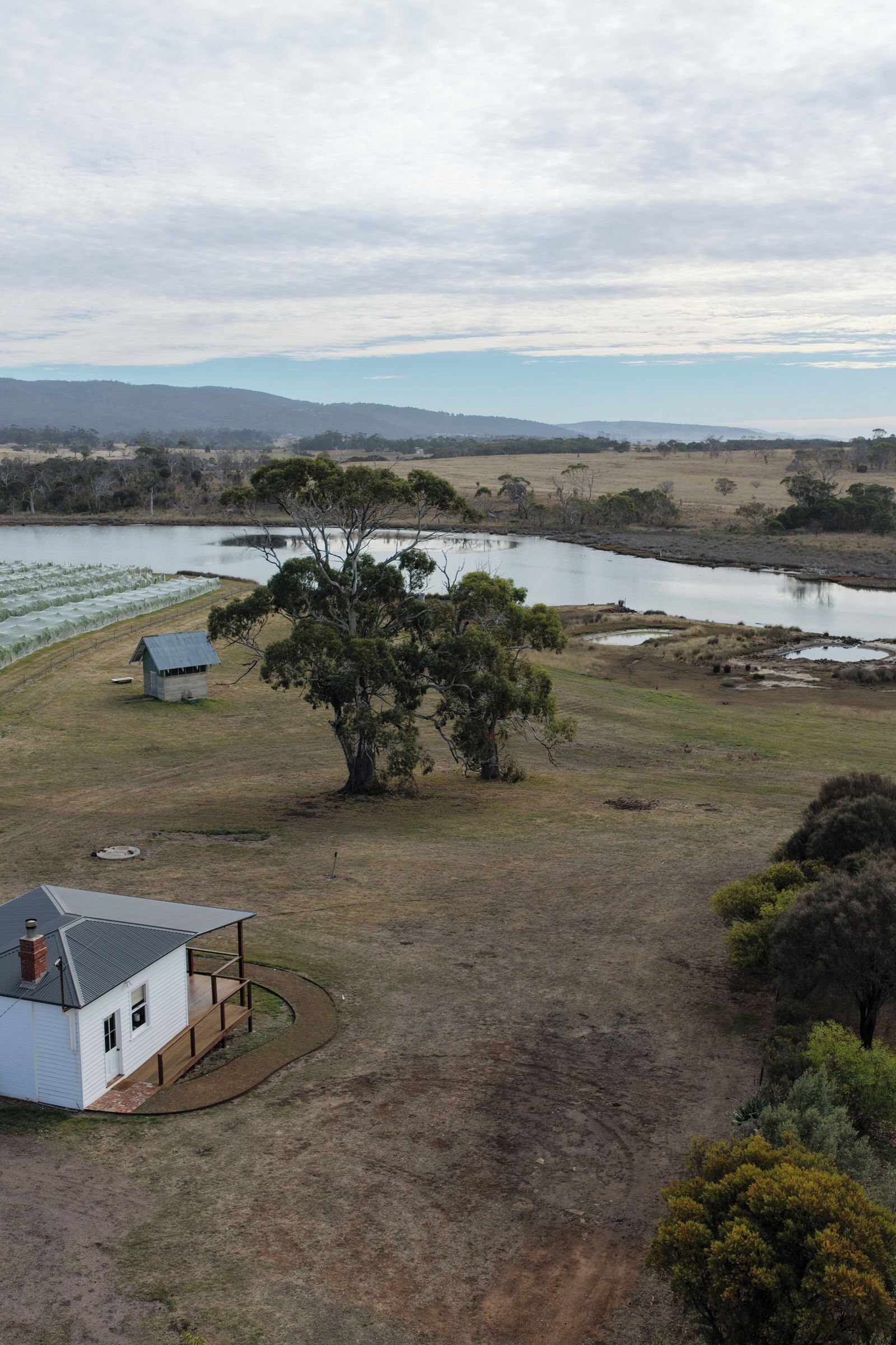 A rural property with a house, a large tree, and a body of water.