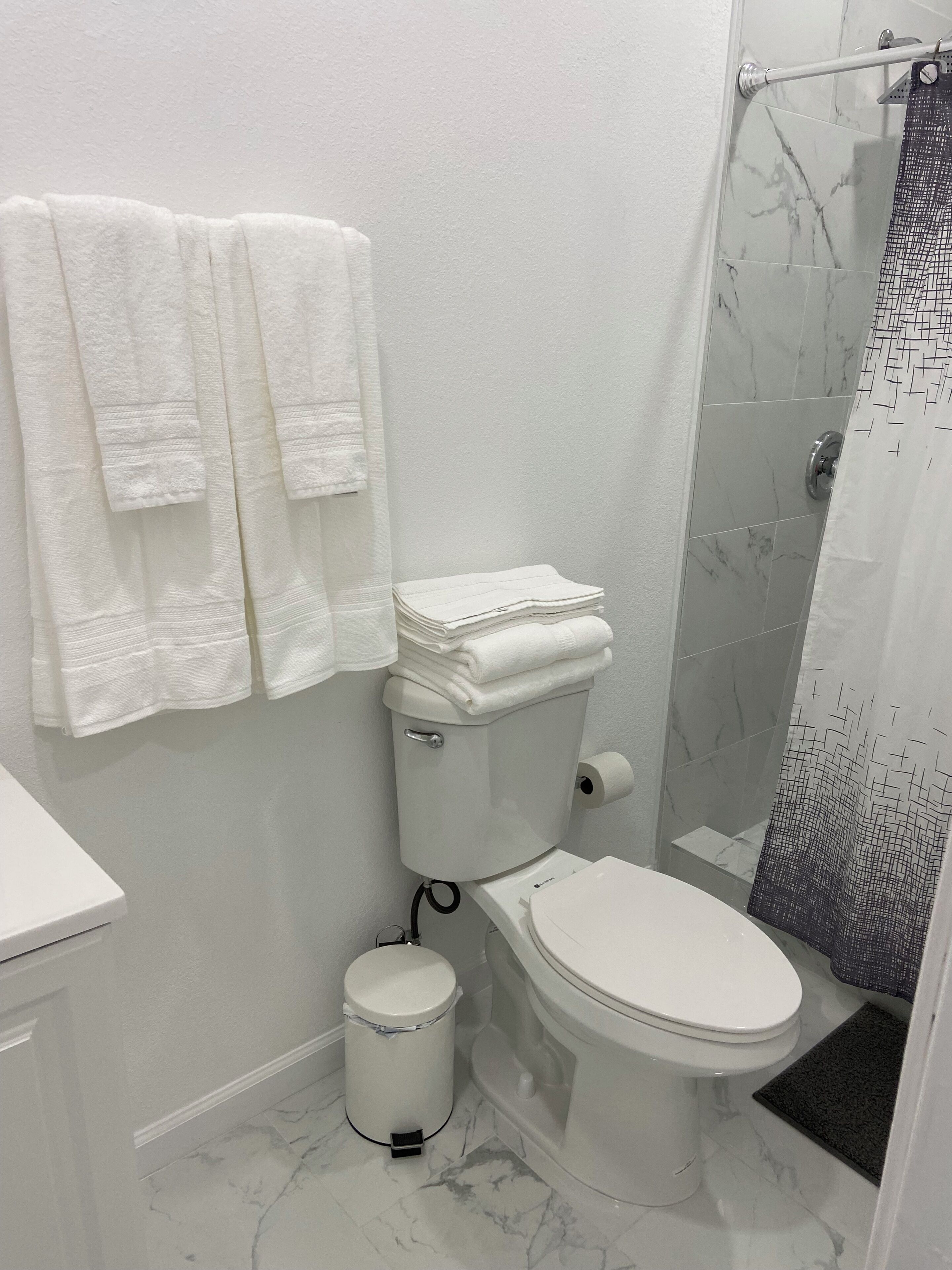 Hair dryer, towels, soap, toilet paper