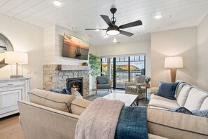 TV, fireplace, books