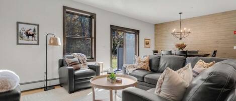 Smart TV, fireplace, books