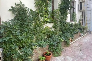 Garden - Pension David (Bucharest)