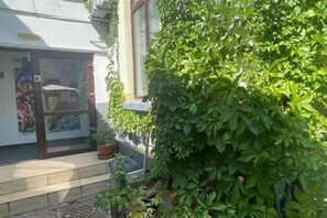Garden - Pension David (Bucharest)