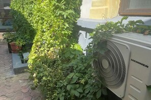 施設の敷地