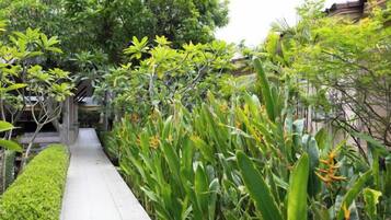 Un sentiero costeggiato da una fitta vegetazione e un edificio.