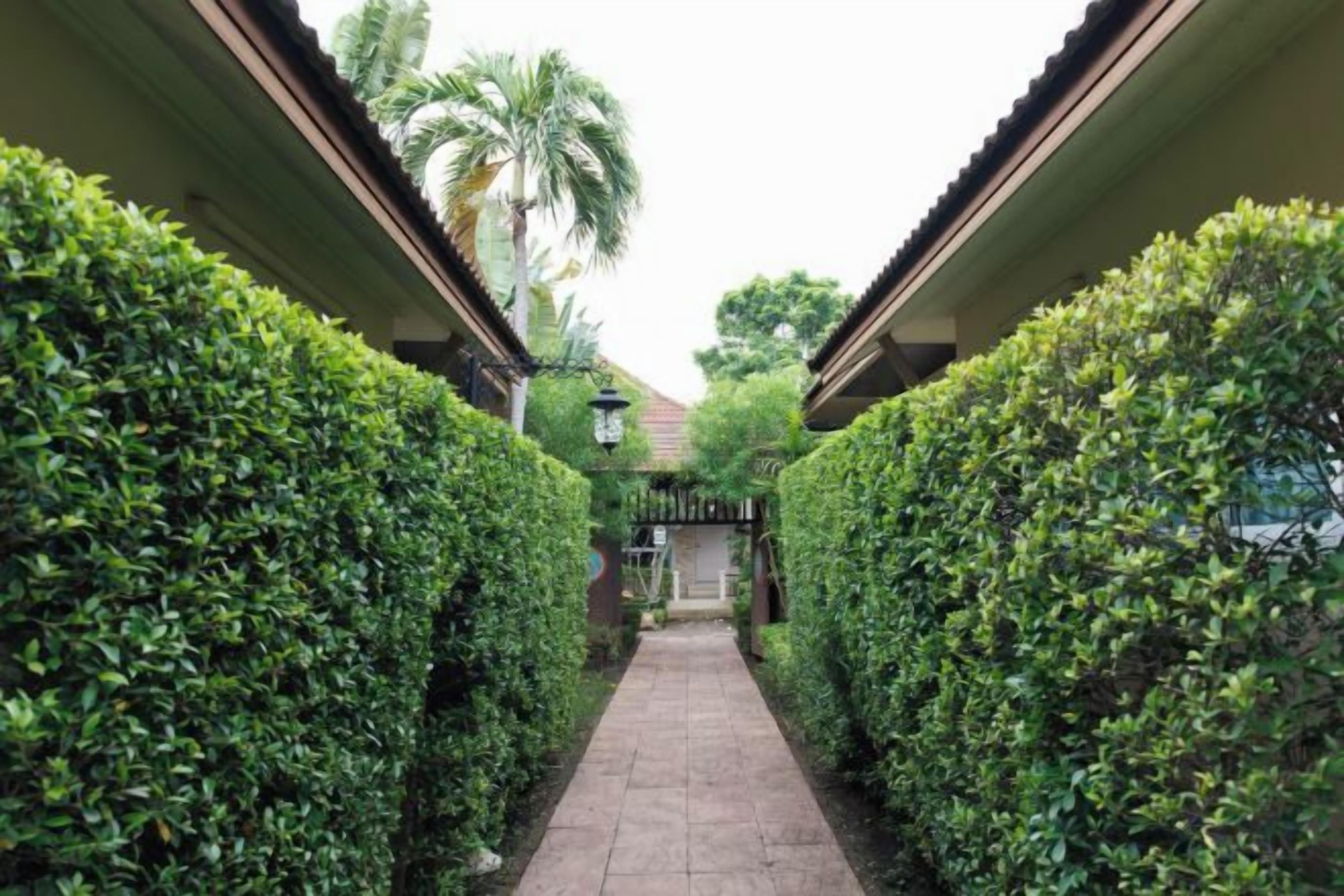 A pathway flanked by neatly trimmed hedges leading to a building entrance.