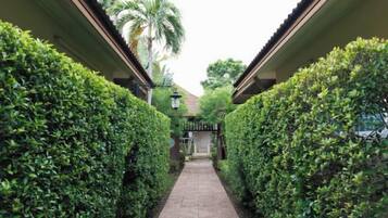 A pathway flanked by neatly trimmed hedges leading to a building entrance.