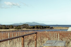 Property grounds - *New* Pip's Place at Lisdillon Vineyard (Little Swanport)