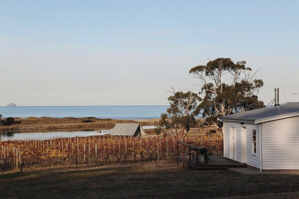 Ein Küstenanwesen mit Weinbergen, einem kleinen Gebäude und Blick aufs Meer.