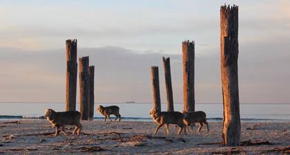 *New* Pip's Place with private beach