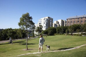 Apartment | Golf