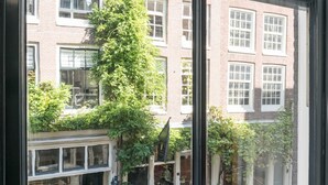A view through a window of a building with a brick facade, large windows, and a tree in the foreground.