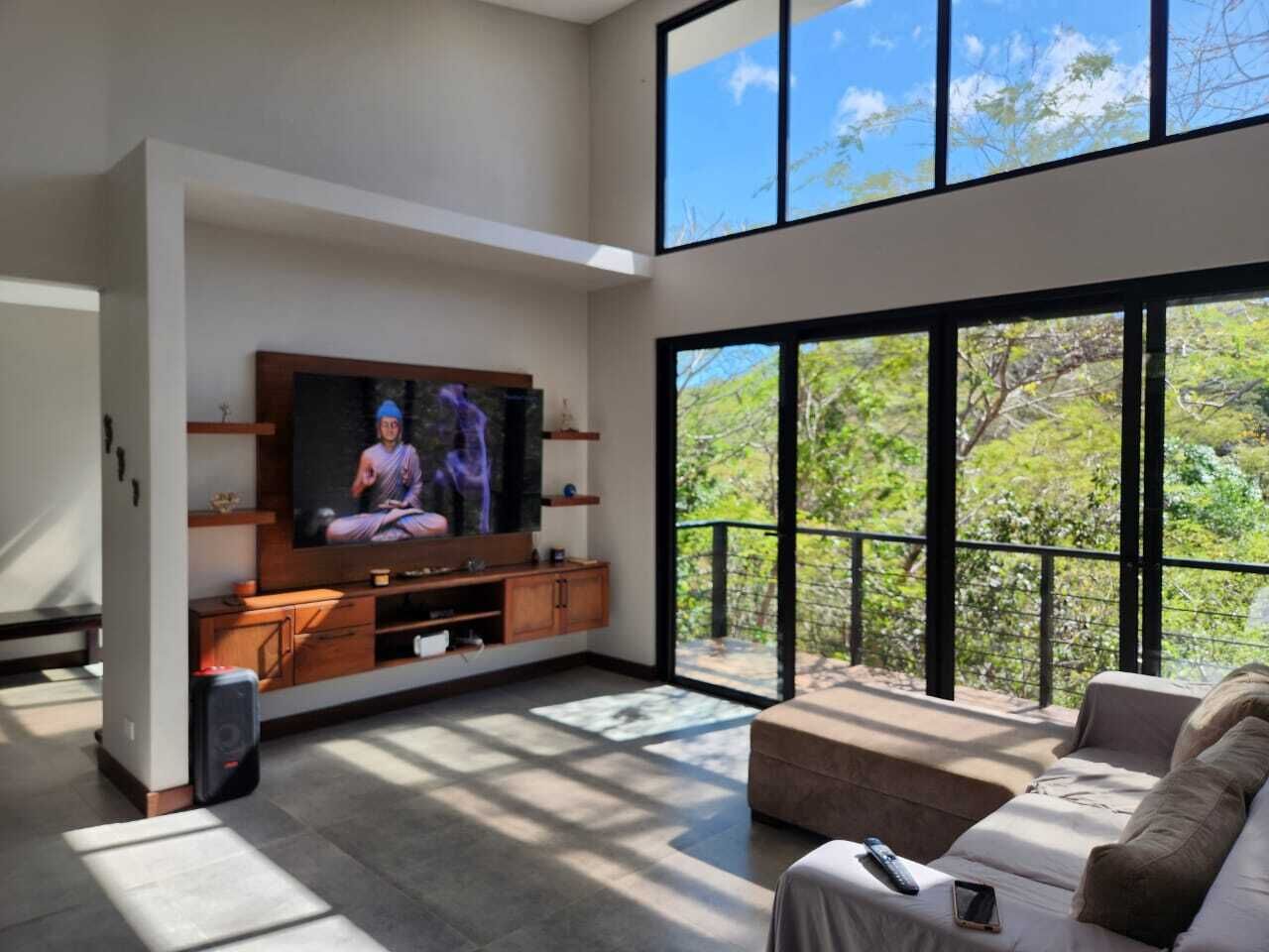 智能电视、电脑显示器、打印机