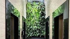 A modern hallway with a vertical garden wall, sleek black elevator doors, and a tiled floor.