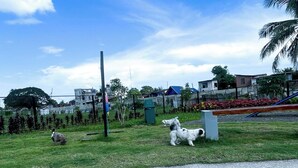 Shared Dormitory, 1 Bedroom, Balcony | Exterior - Room-quiet Modern Studio for Work and Re (Iloilo)