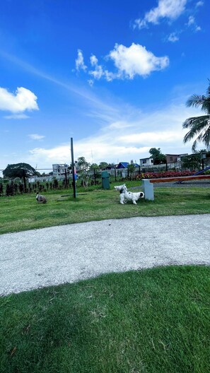 Shared Dormitory, 1 Bedroom, Balcony | Exterior