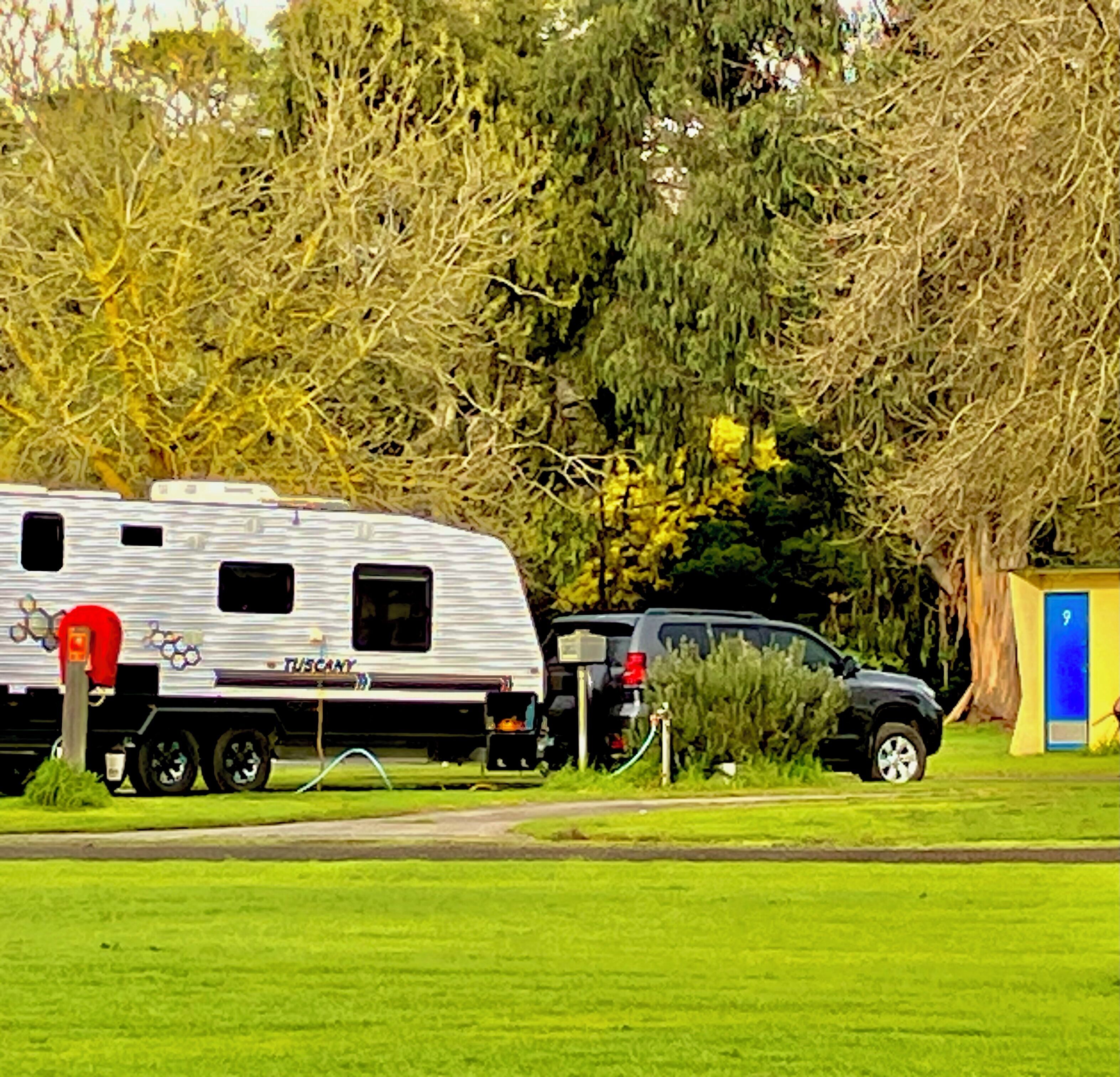 Standard Studio Cabin | Terrace/patio