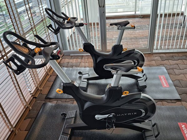 Condo, 3 Bedrooms, Accessible, Balcony | Fitness facility