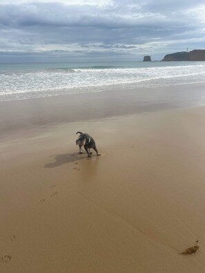 Praia