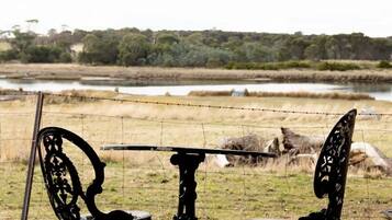 Àrea exterior de l'allotjament