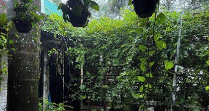 Chayatol Resort & Restaurant Purbachal