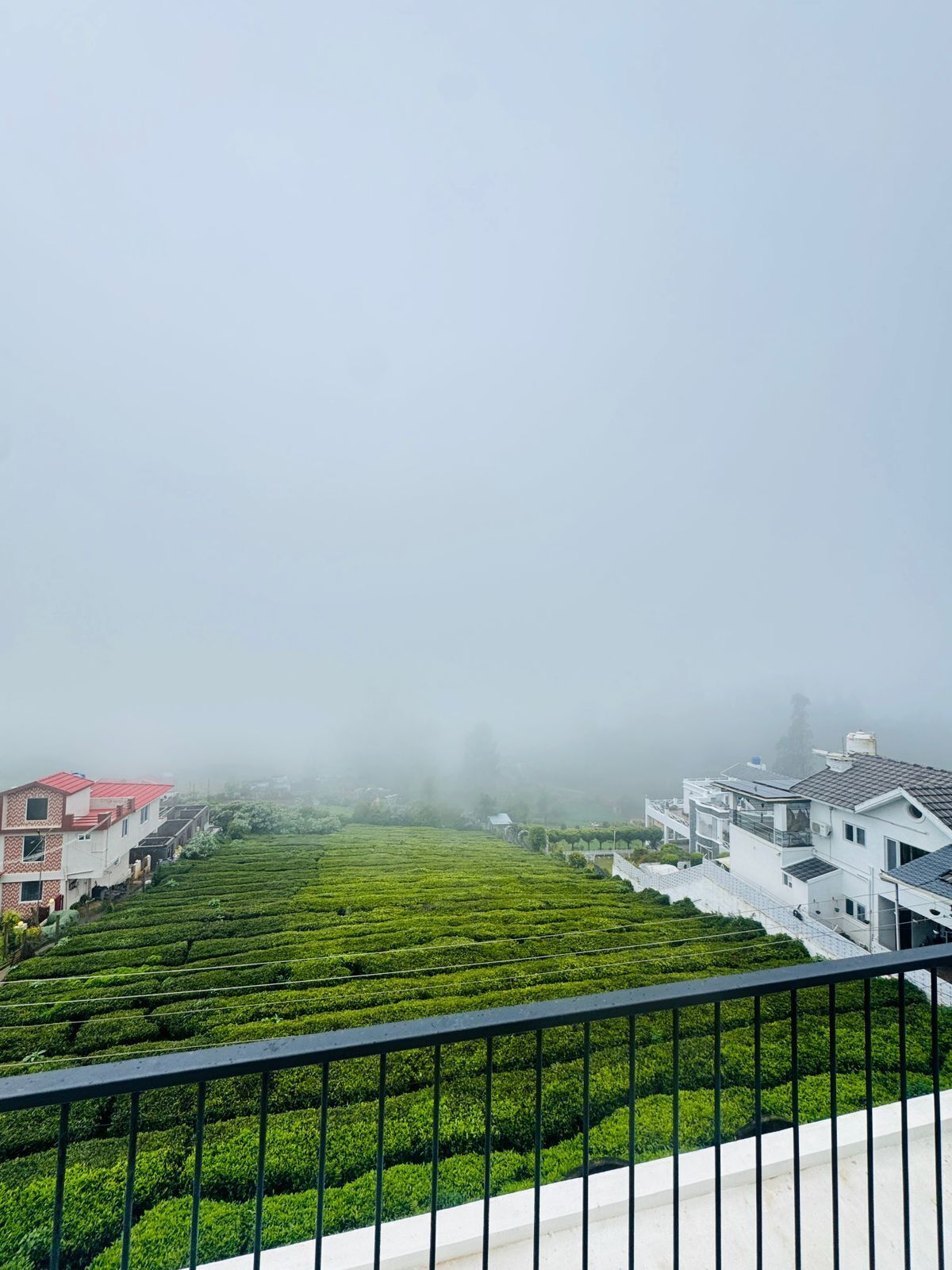 Utsikt från boendet