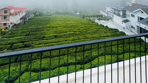 Un quartier résidentiel avec des maisons et une plantation de thé.
