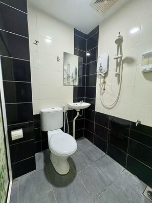 Shower, free toiletries, hair dryer, soap