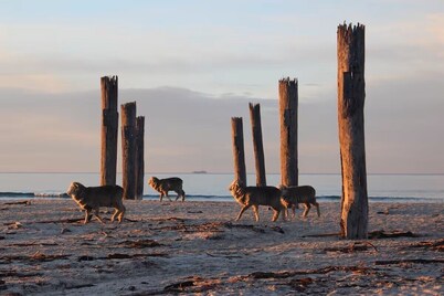 Coach House with private beach