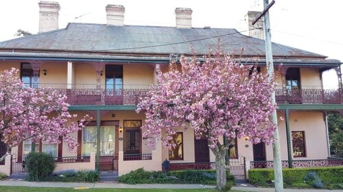 The Foyle - Mount Victoria