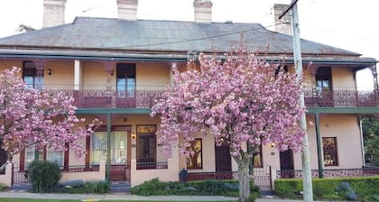 The Foyle - Mount Victoria