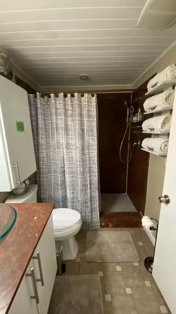 A compact bathroom with a toilet, shower, and towel rack.