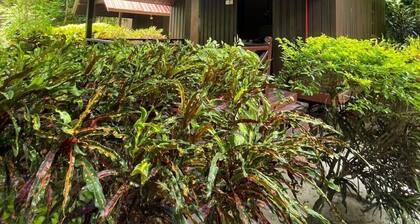 Bluestar The Reef Chalet