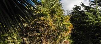 Calm Private Annex in Ashford