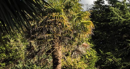 Calm Private Annex in Ashford